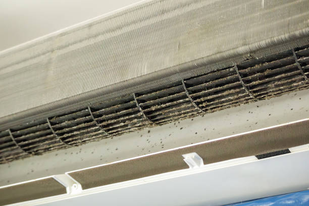 Best Ductwork Cleaning Services  in Frederick, OK